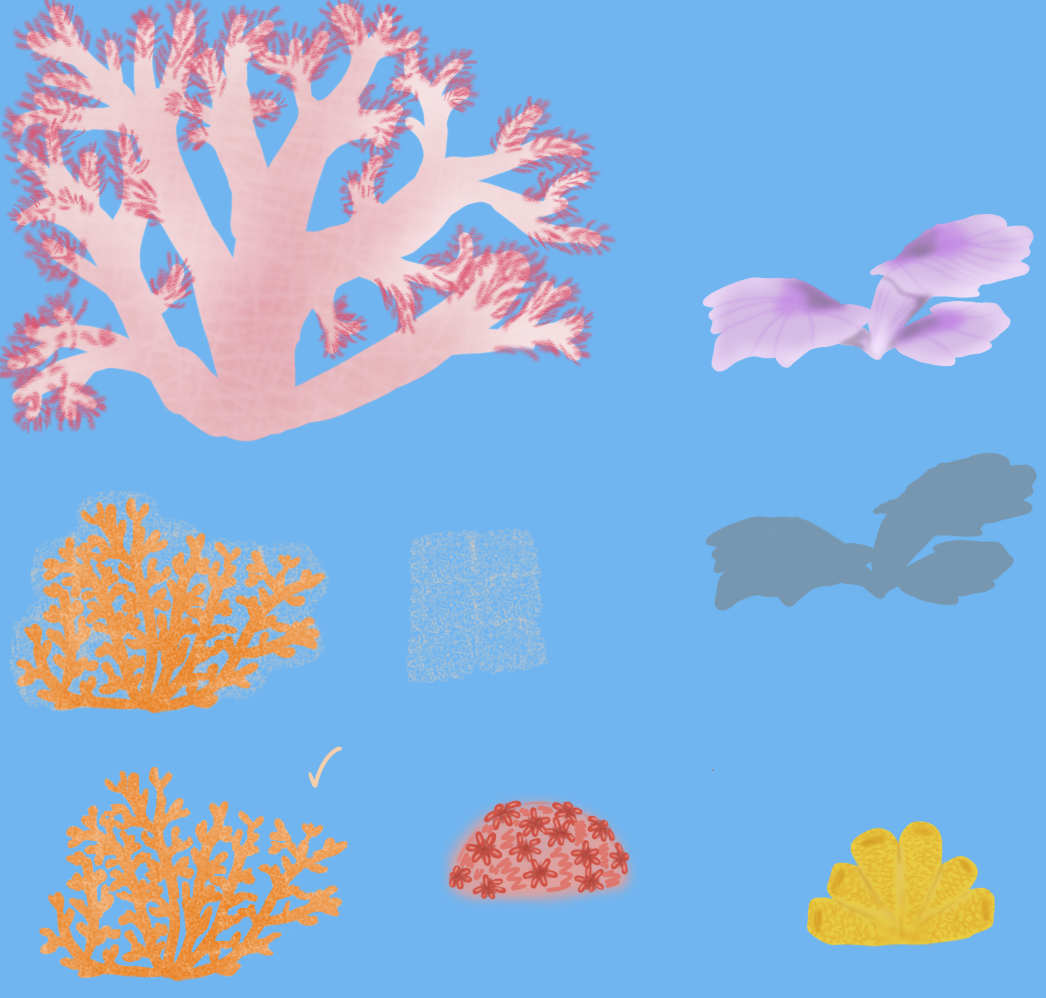 Various corals