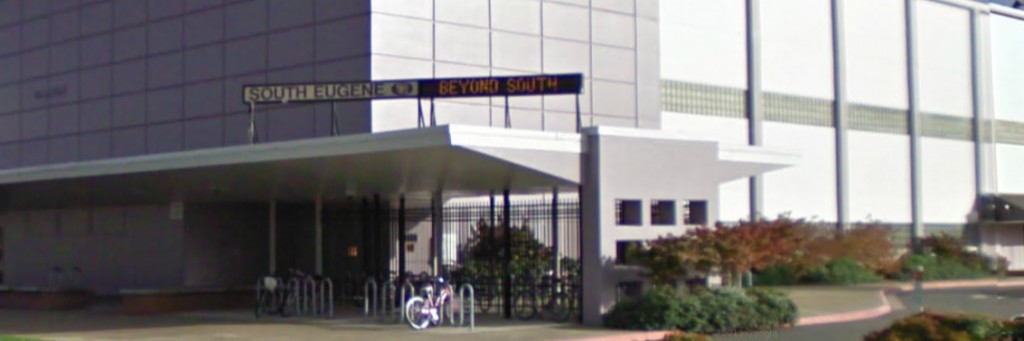 Cover image for Wombats