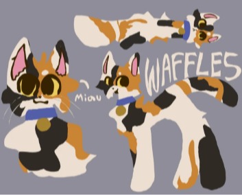 Current Waffles Design