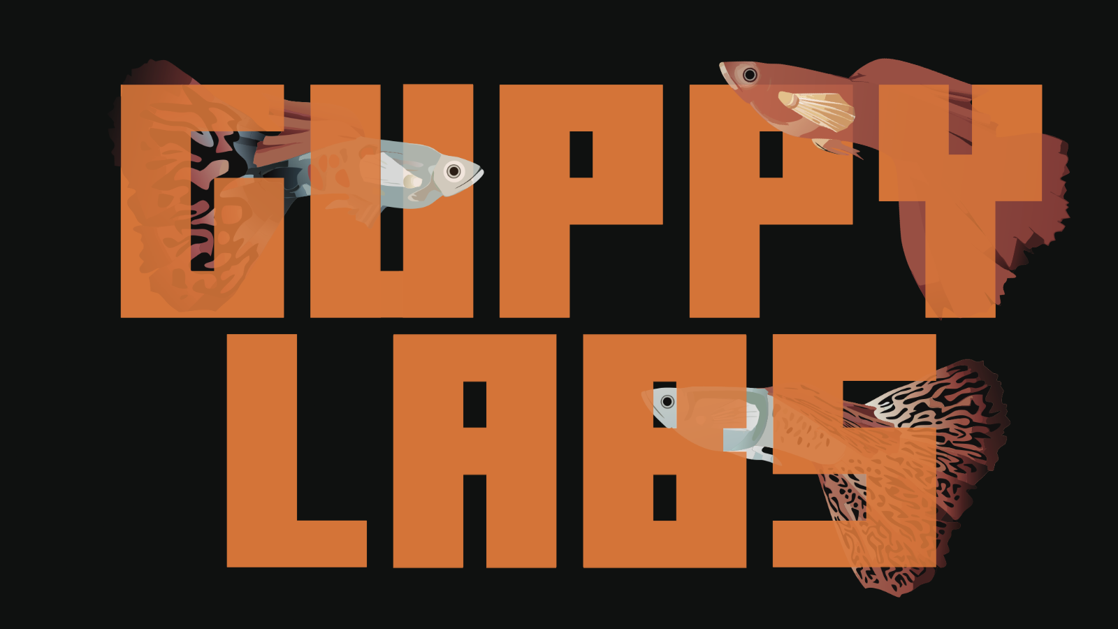 Cover image for Guppy Labs