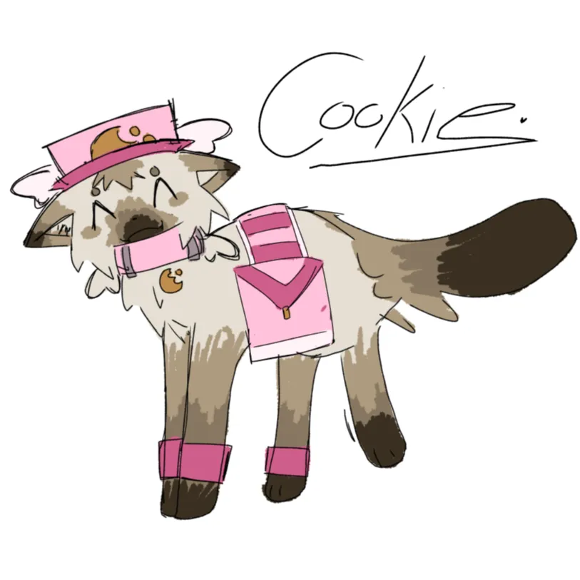 Cookie First Concept