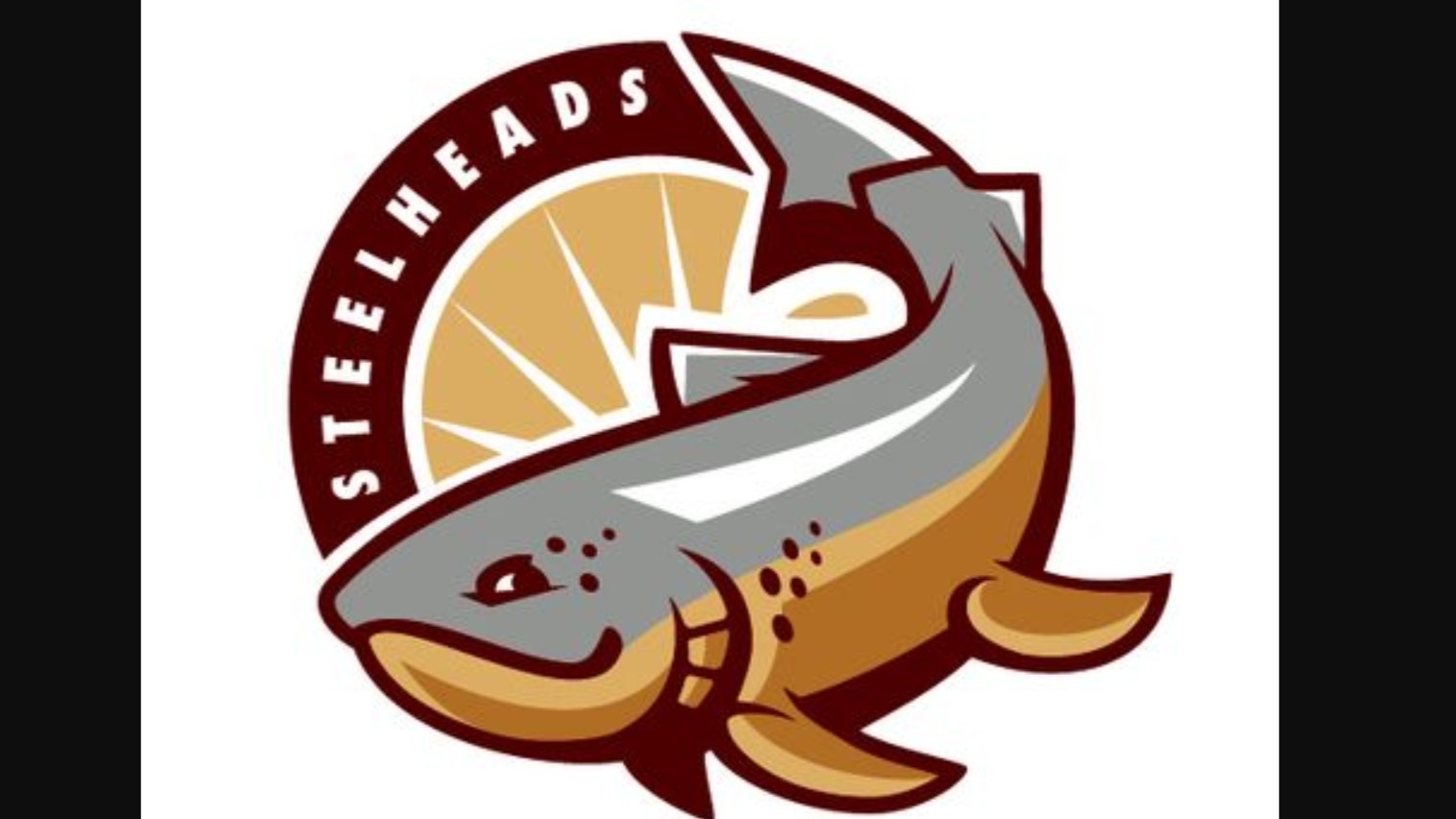 Cover image for CACO Steelhead