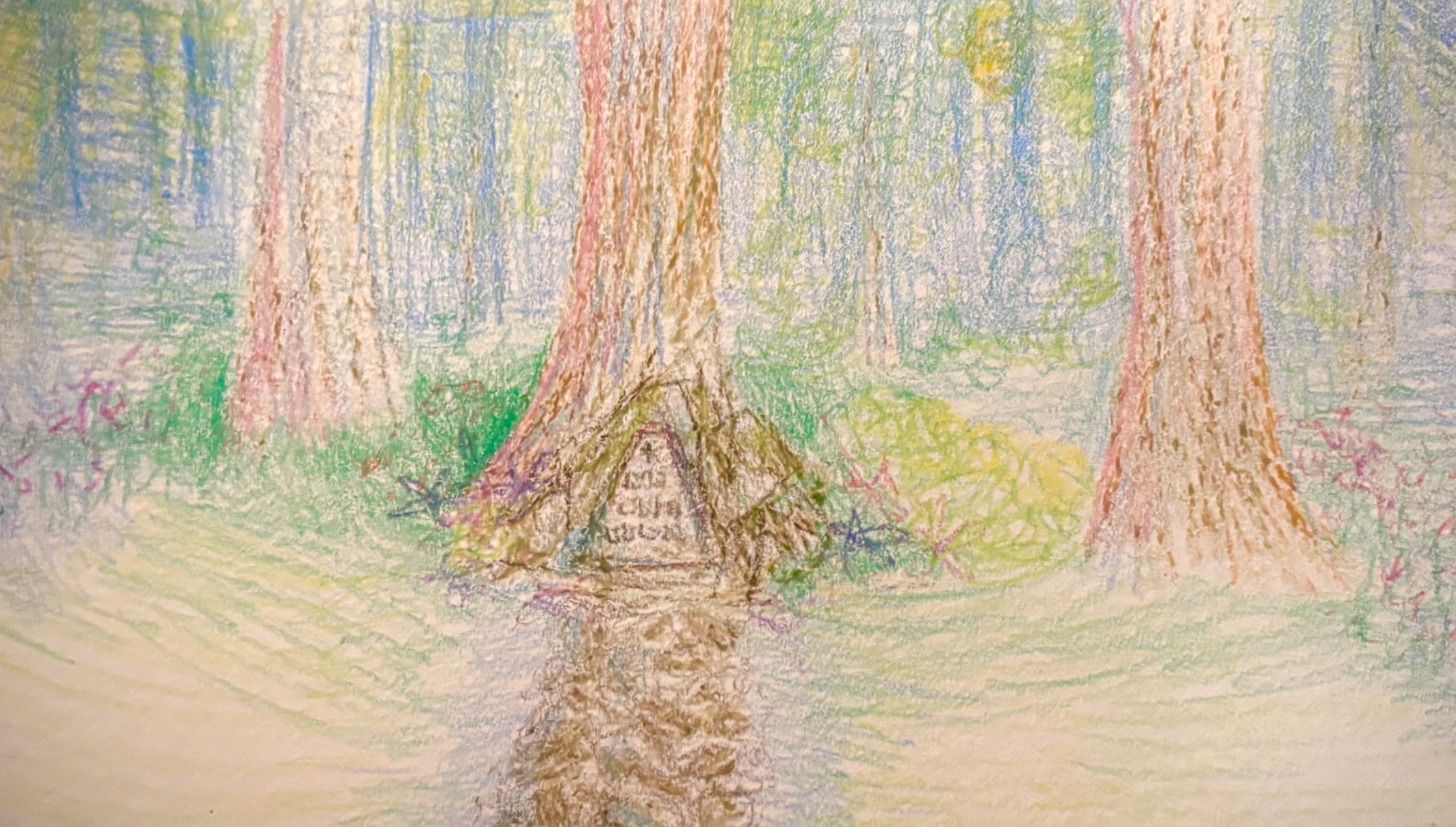 Magical Forest Concept