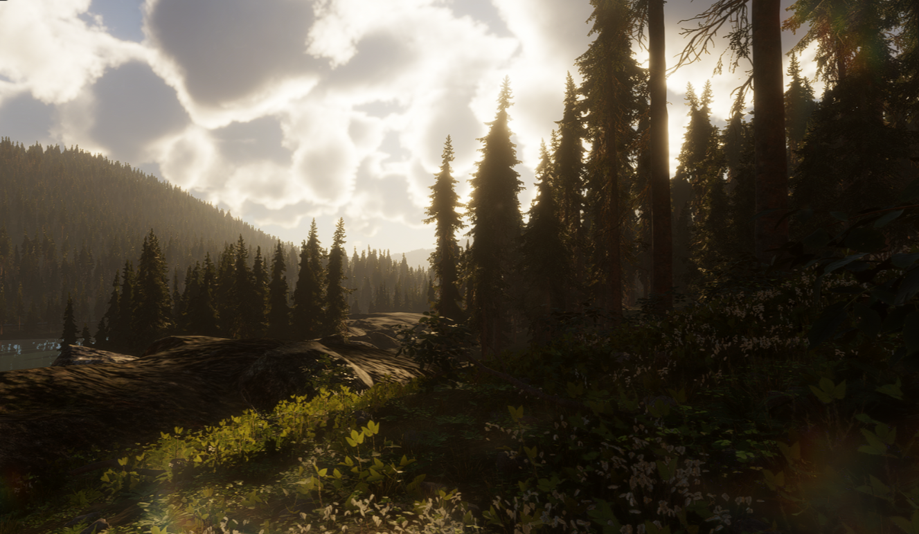 Another Day in the HCA