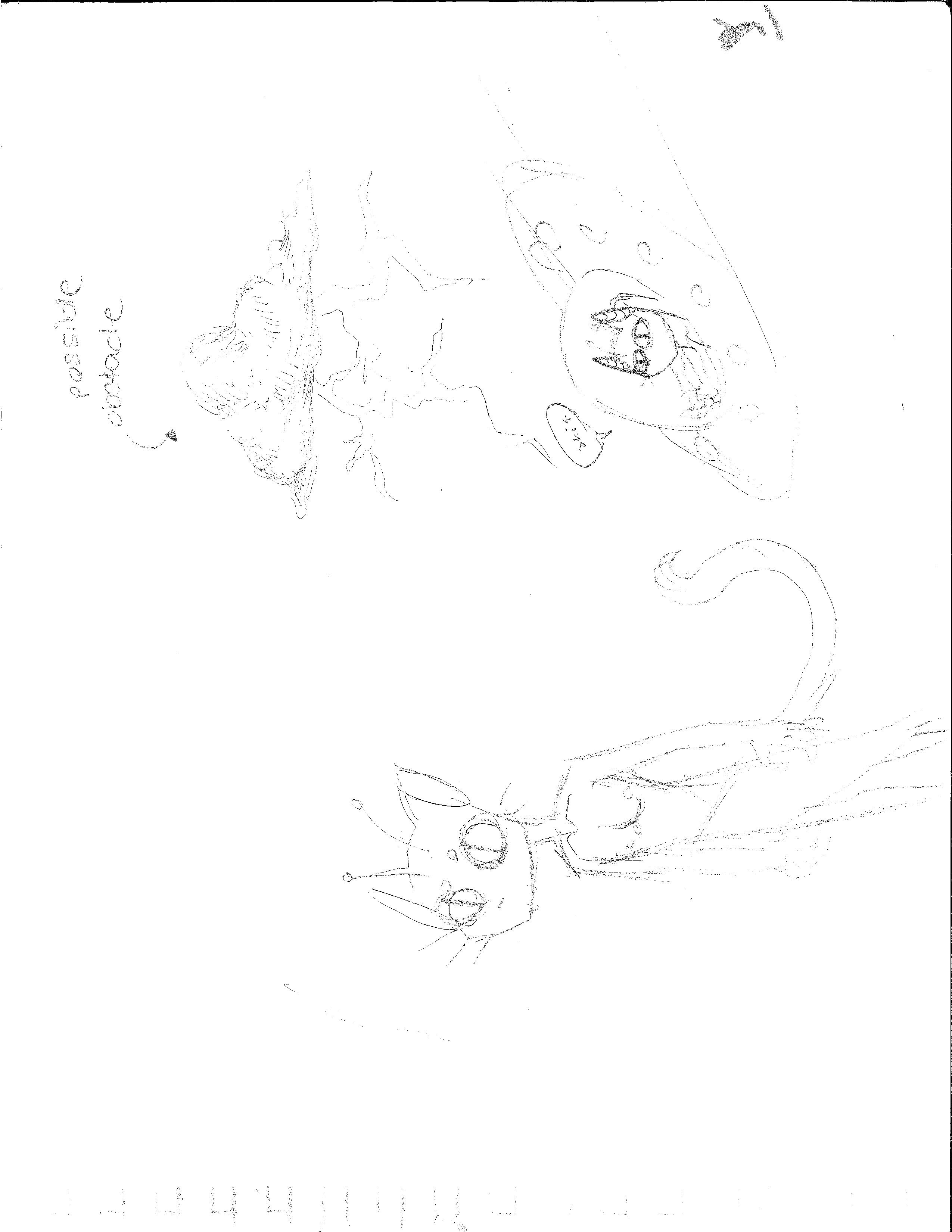 20170405142445684-page-002