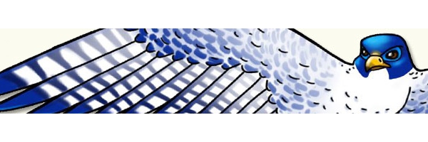 Cover image for TFF