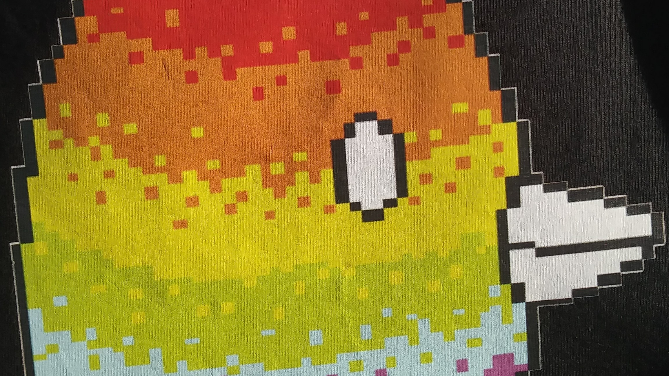 Cover image for Multi-Colored Pigeons
