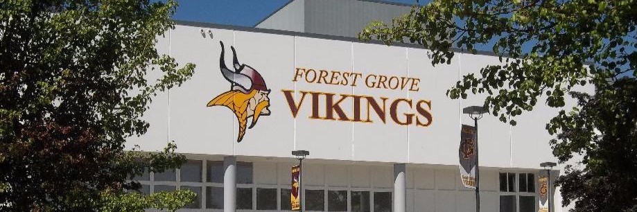 Cover image for Skylight Studios