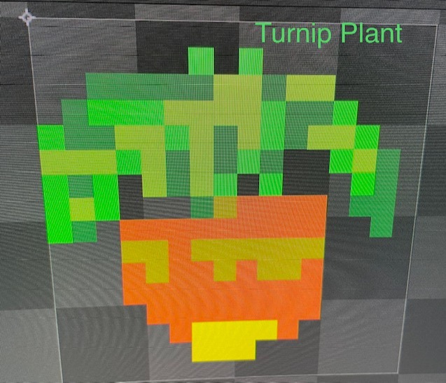 Turnip Plant