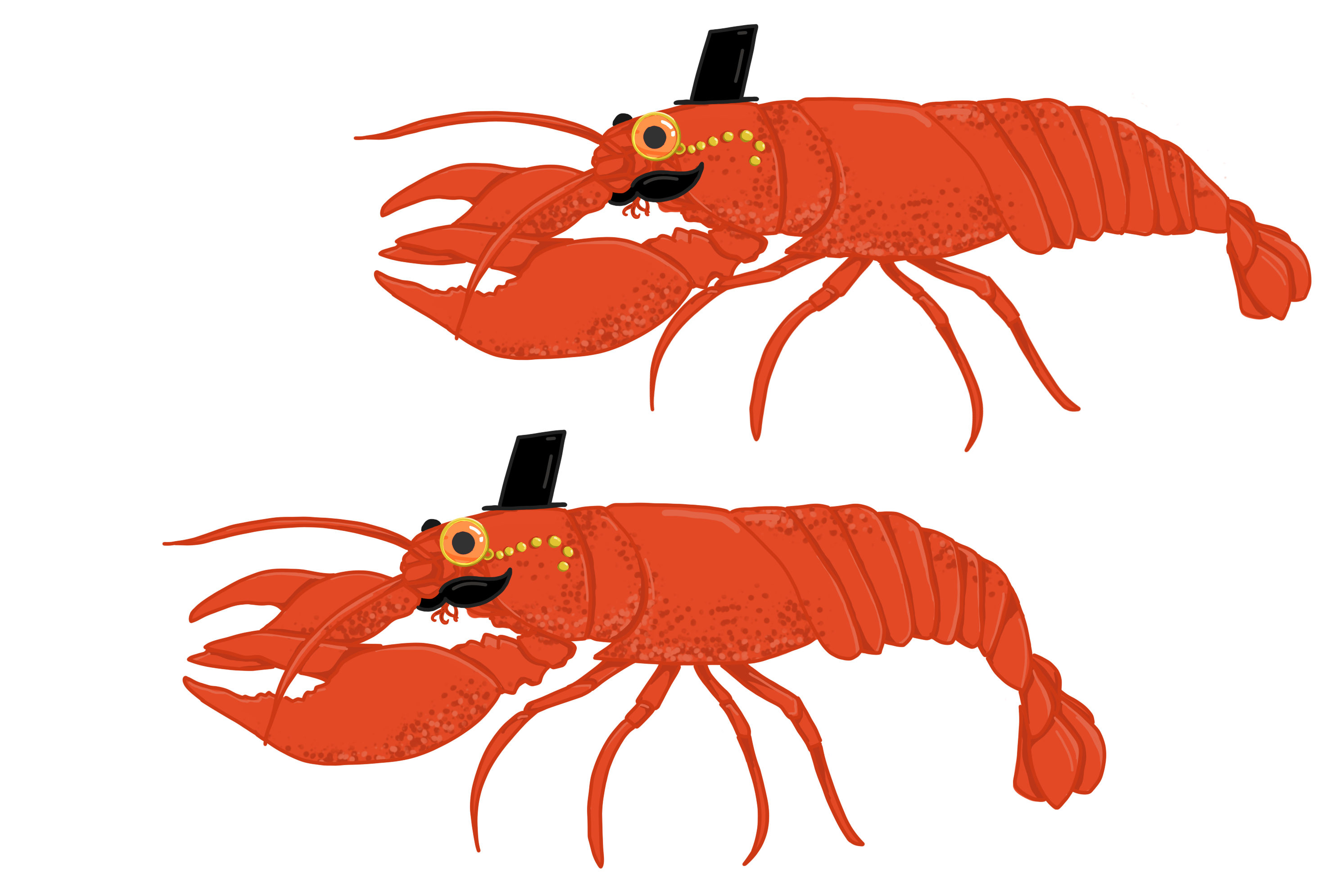 Lobster Frames for Animation