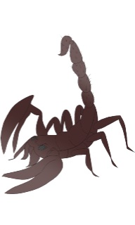 C_Monsters_Scorpion