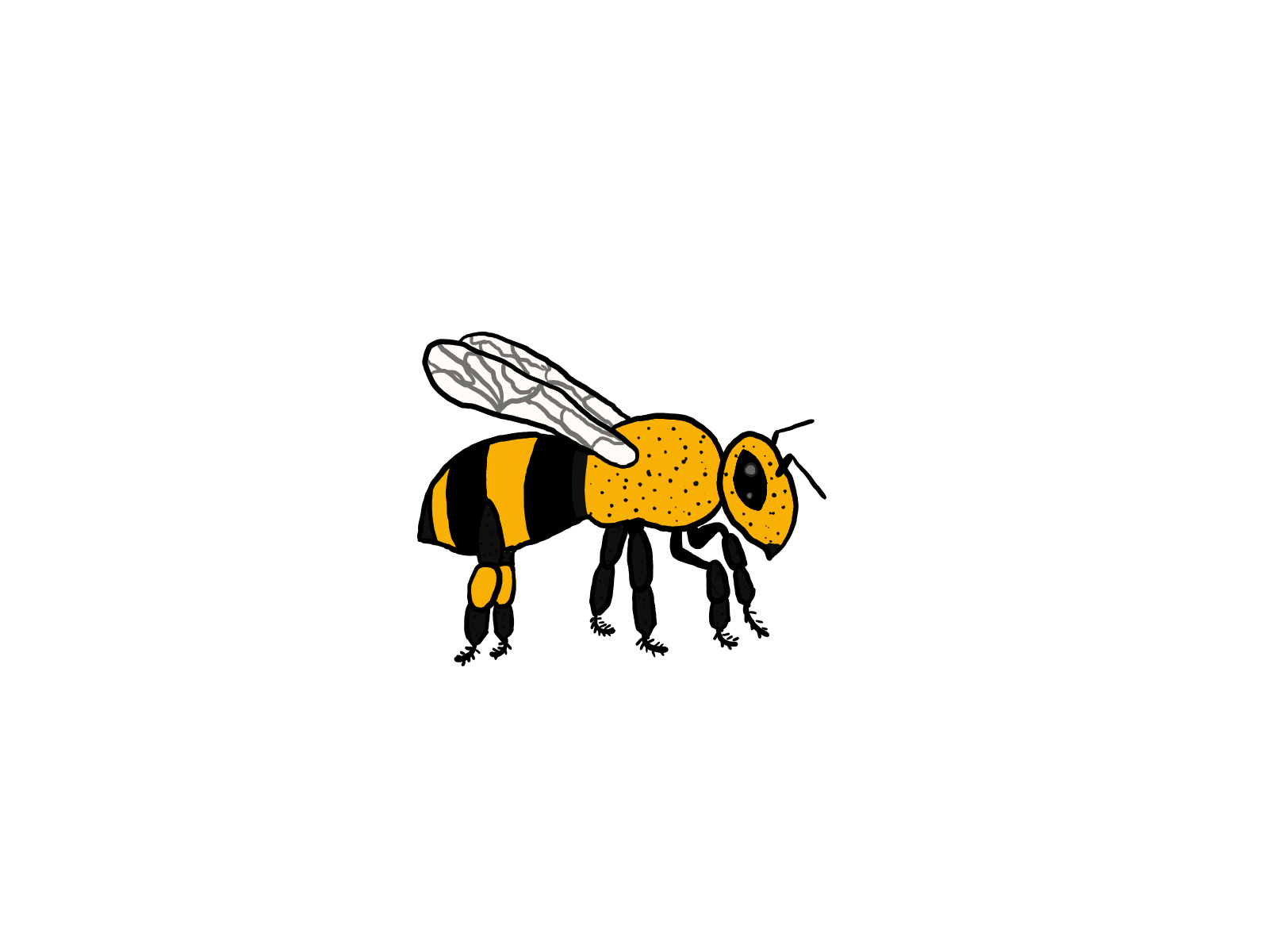 Bee_3.0