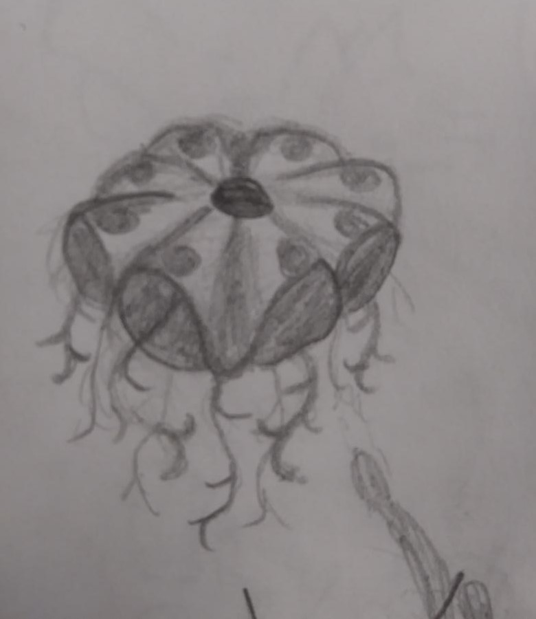 Plant Concept - Moshroom