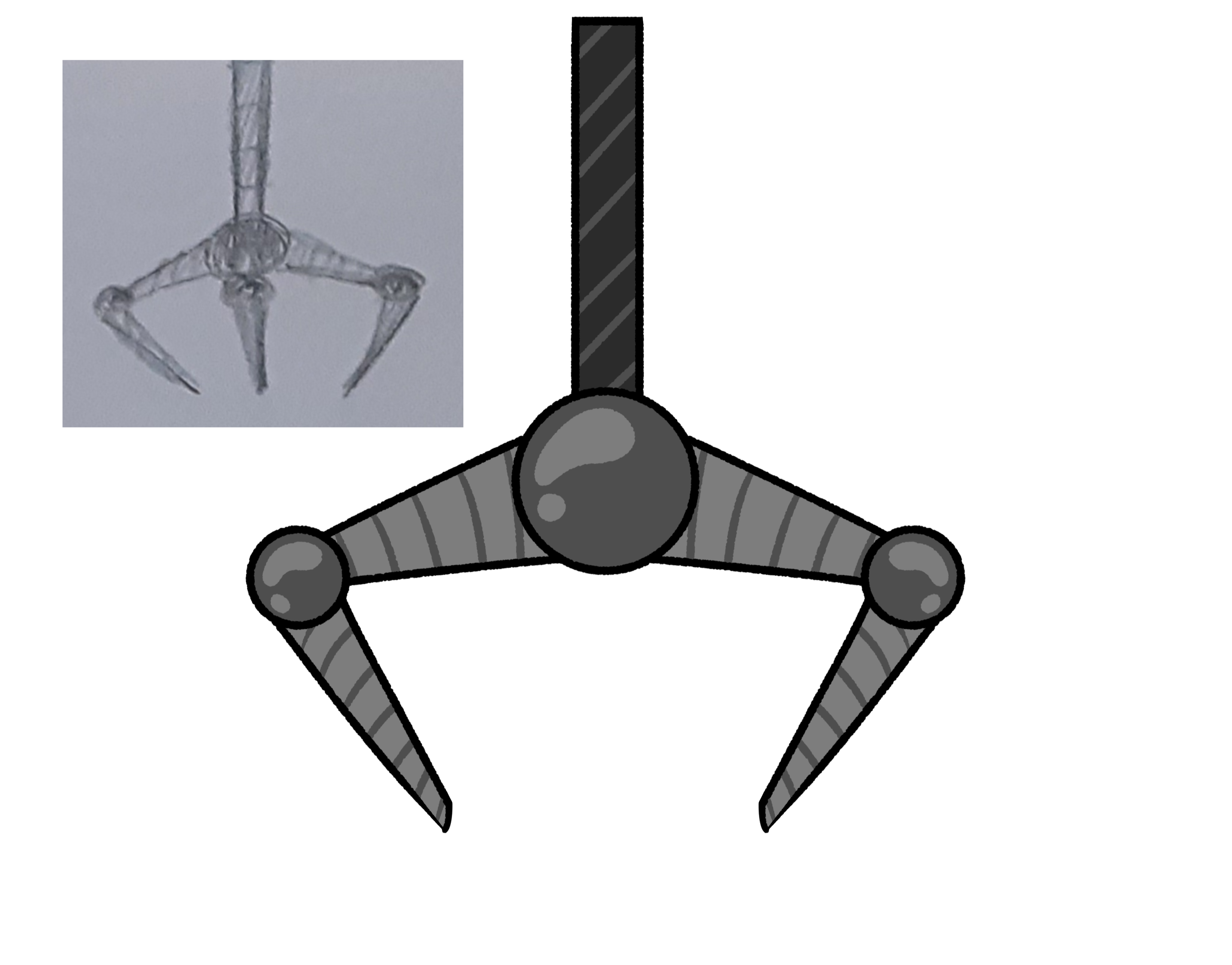 cacdc84c-c825-4099-8e83-594e94ca9b57