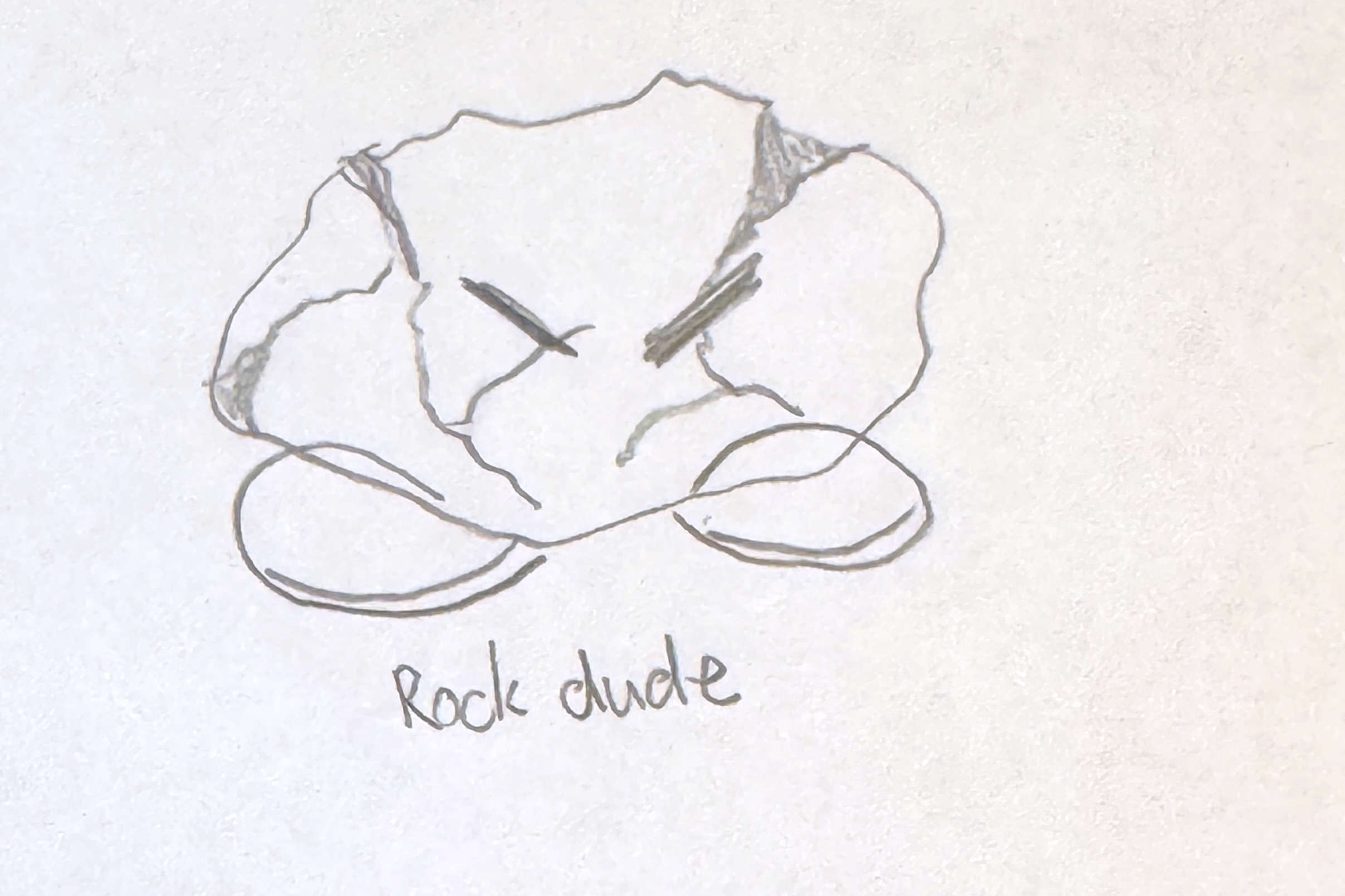 Rock dude