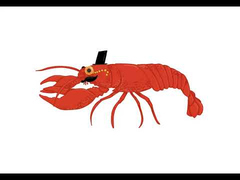 Lobster animation