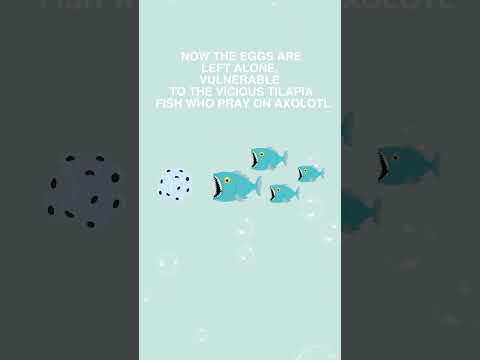 Video 20240511 190834 570