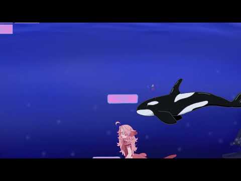 Seas the Day trailer